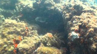 Guarapari /ES - Três Ilhas