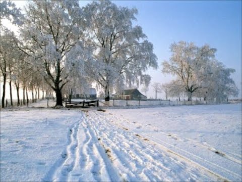 Milan Prunić - Drum je carski, a sokak bećarski