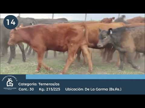 Lote M Y H - De la Garma Bs As