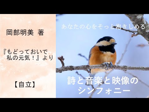 人間心理学科 【自立】 岡部明美 朗読Vol.06 ～『もどっておいで 私の元気！』より～本当の自分を取り戻したい時、新しい人生の扉を開きたい時、あなたの心をそっと抱きしめてくれる詩と音楽と映像のシンフォニー