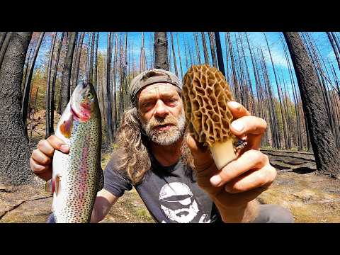Rocky Mountain Morel Mushroom and Trout Catch & Cook