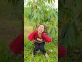 How To Poop In The Forest Survival Skills Bushcraftfamily Comedy Thaobushcraft Cute Funny