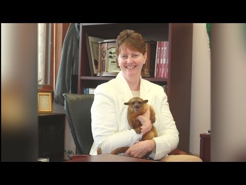 Pat Simmons Interview