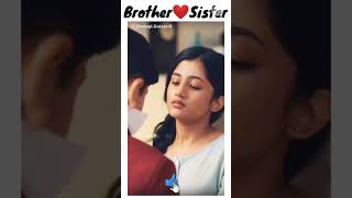Brother And Sister Whatsapp Status  Brother And Si