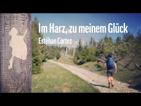 Im Harz, zu meinem Glück