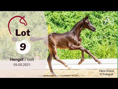 Catalogue #9 - Ja zu A! - 1st AUSTRIAN ONLINE FOAL AUCTION