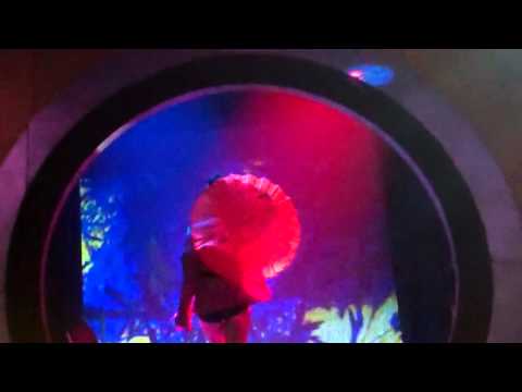 Soundsystem 04   Dirty Vegas   Kel E Parasol