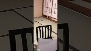 【TikTok】事件は後ろで起きているw