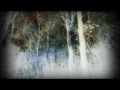 Black Moth Super Rainbow -  Last House in the Enchanted Forest -PIXELPUSHER vj mix