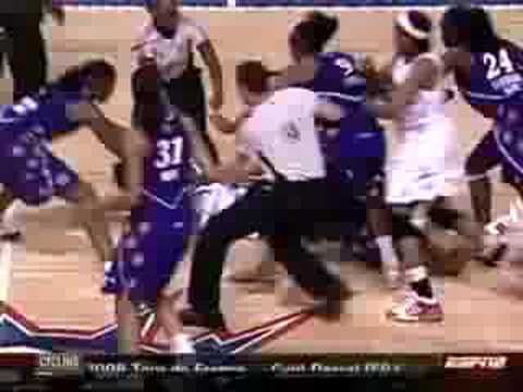Brawl at the Palace redeux…WNBA fight Brawl at the Palace redeux…WNBA fight