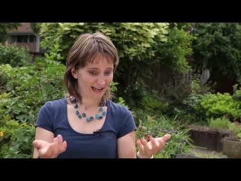 Vêtements Propres Sans Détergents