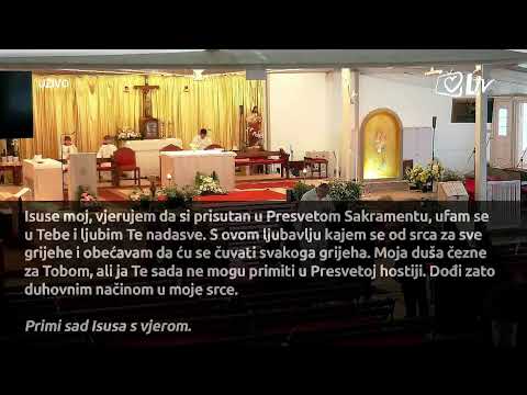 [UŽIVO] Sveta Misa iz Svetišta Majke Božje Remetske