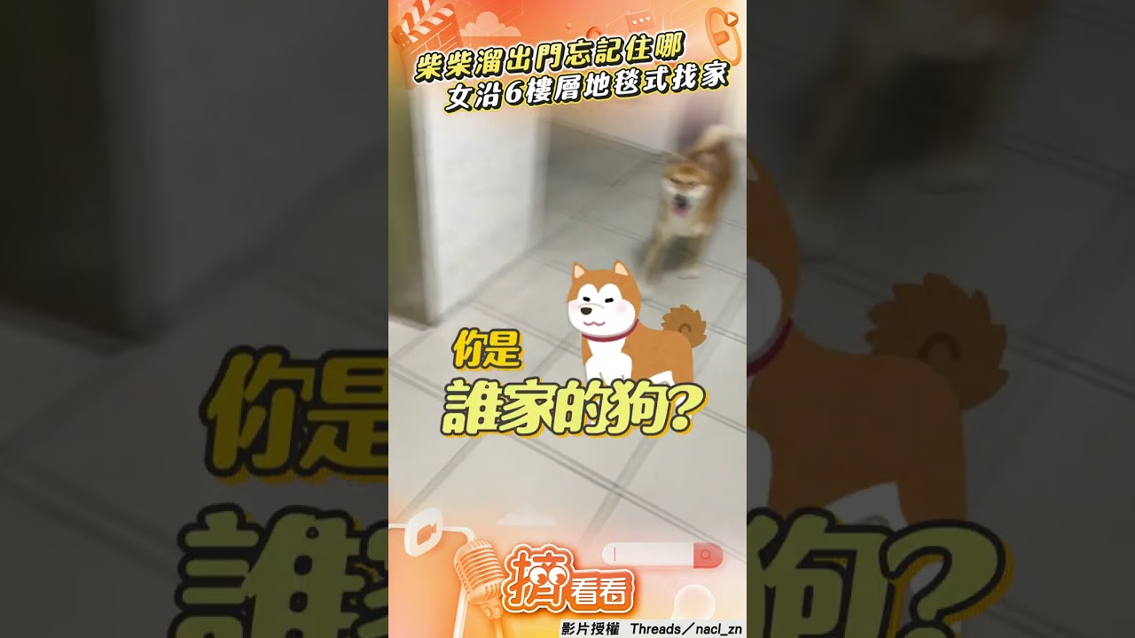 影音／柴同學溜出門忘記住哪戶　女按電梯陪沿6樓層「地毯式找家」