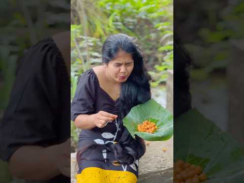 Picking and Eating Wild Koon Fruits in the Sri Lankan Village 🌿 #shorts #villagelife #village