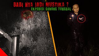 Download lagu PERBURUAN MUSTIKA RANTAI BABI YG MELEGENDA mp3