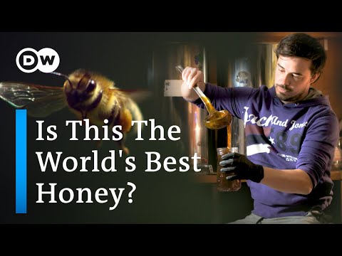 How Slovenia Produces Some Of The World's Best Honey