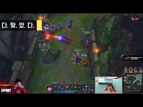 와~ 진짜 내가 다했다 [Weekly Effort]