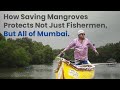 How Saving Mangroves Protects Not Just Fishermen But All Of Mumbai