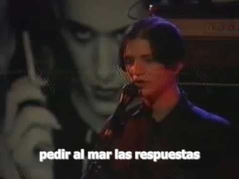 placebo - ask for answers subtitulos al español