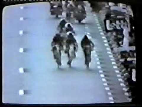 GAND WEVELGEM 1981 RAAS