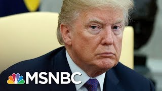 Elizabeth Holtzman On Michael Flynn's Plea Deal: "Donald Trump Is In The Red Zone Now" | MSNBC thumbnail