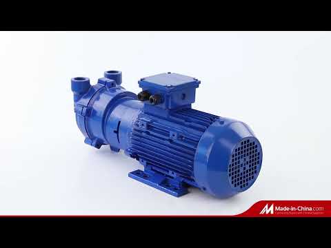 Portable Single Stage 2bv Series Liquid Circulating Water Ring Vacuum Pump With Ejectors