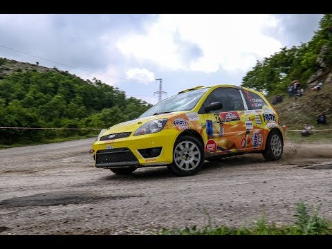 2018 Rally Phrygia / Onur Çelikyay - Güven Çetin / Ford Fiesta ST