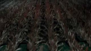 preview picture of video 'Sorghum harvest in Hoxie, Kansas www.huizingharvest.com'