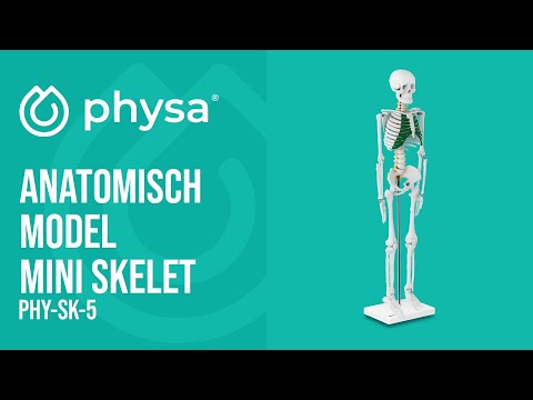 Video - Anatomisch model mini skelet - 85 cm