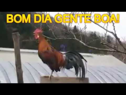 download lagu mp3 mp4 Cocolico, download mp3 Cocolico free download, download mp3 Cocolico