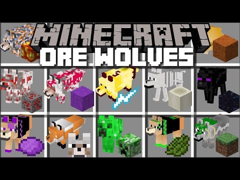 MC Naveed - Minecraft - Minecraft ORE WOLF MOD / FIGHT OFF EVIL WOLVES AND SURVIVE THE NIGHT !! Minecraft