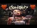 Craniotomy Overgorged Flesh Flies Dying Slowly 2015 Full Album