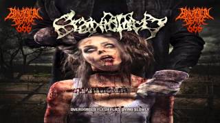 Craniotomy - "Overgorged Flesh Flies Dying Slowly" (2015) {Full-Album}