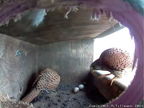 April 8th, 2021, 0714