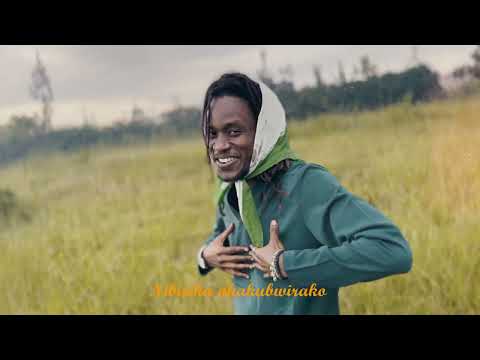 The Nature - IMITOMA (Vizualizer)