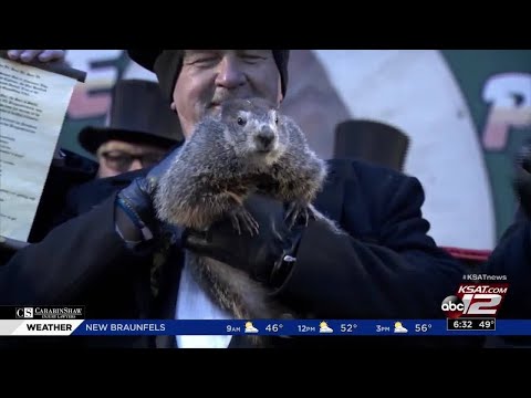 Video: Punxsutawney Phil casts a shadow, declares 6 more weeks of winter