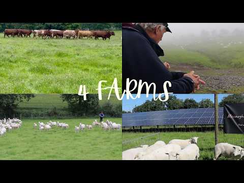 Inside 4 Northern Ireland EasyCare Farms — UK AGM 2026