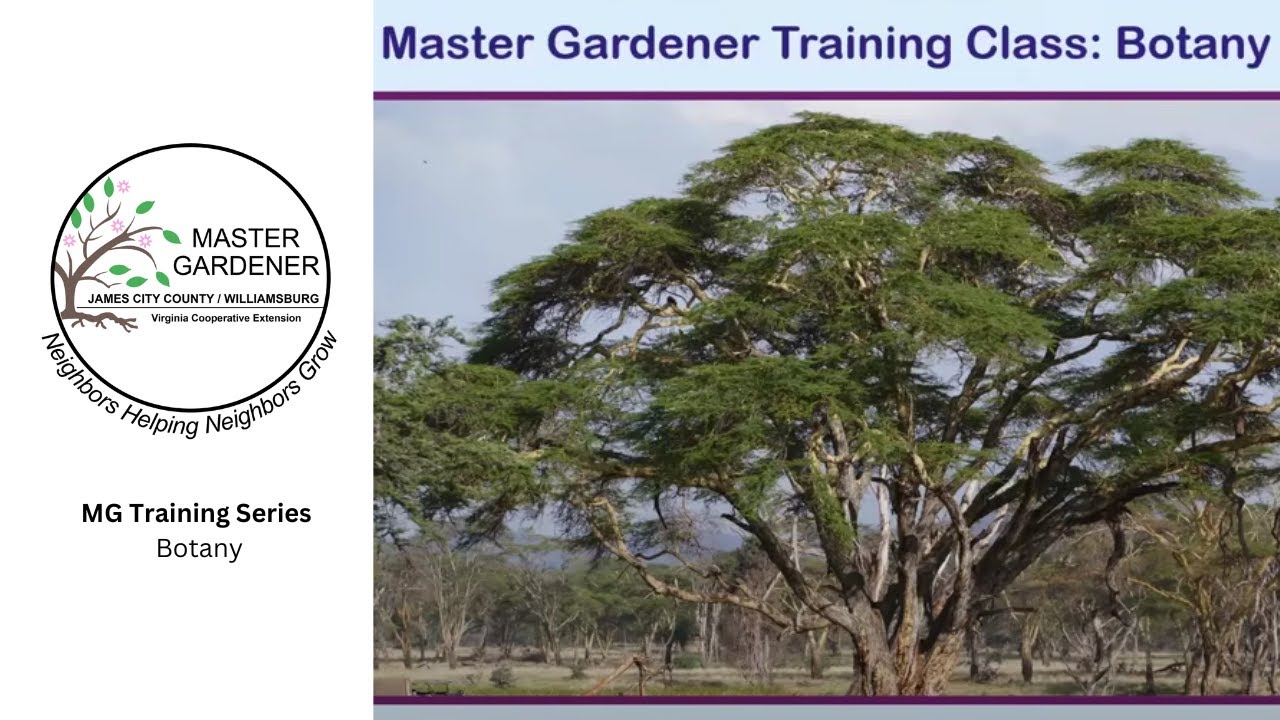 Master Gardener Training Class:  Botany with Catesby Suter