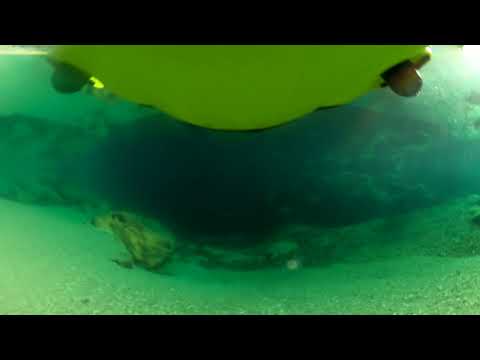 360°映像　仁淀ブルー