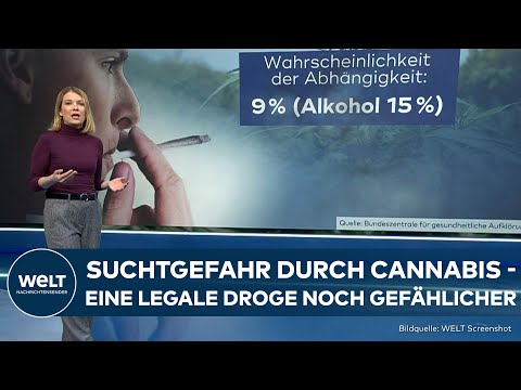 KIFFER-PARADIES DEUTSCHLAND? Polizei planlos - Cannabis-Freigabe wirft viele Fragen auf | WELT Thema