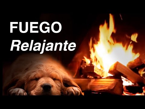12 Horas de Sonido de Fuego 🔥 Relajante en Chimenea