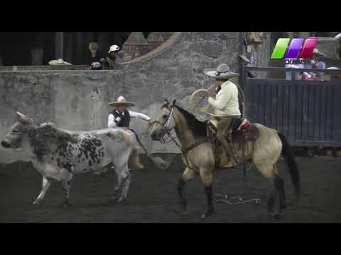 DLM284 210320 4 - 9 Torneo Equipos 57 Aniversario ChP All Horses Maquina 501