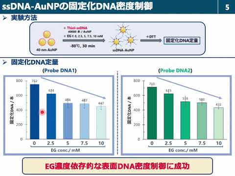 DNA固定化金ナノ粒子の架橋型凝集を用いた核酸検出における表面DNA密度の影響評価