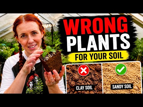 Most Gardeners Pick The WRONG Plants