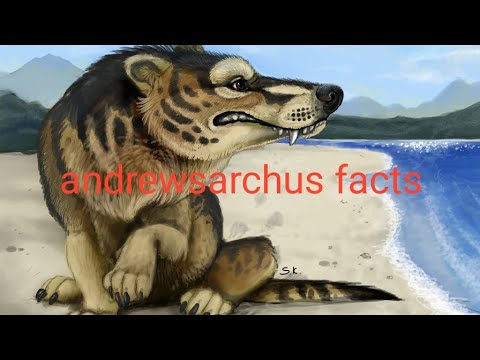 prehistoric creatures ep 10  andrewsarchus