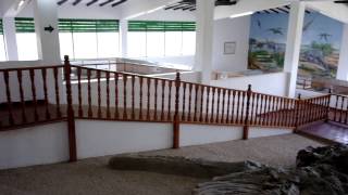 preview picture of video 'El Cronosaurio marino, Fósil en Villa de Leiva, Boyacá, Colombia'