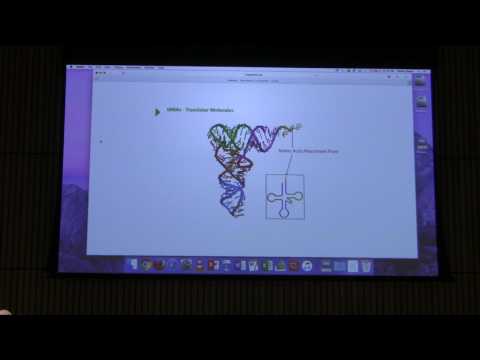 Translation II - Kevin Ahern's BB 451 Lecture #47 2017