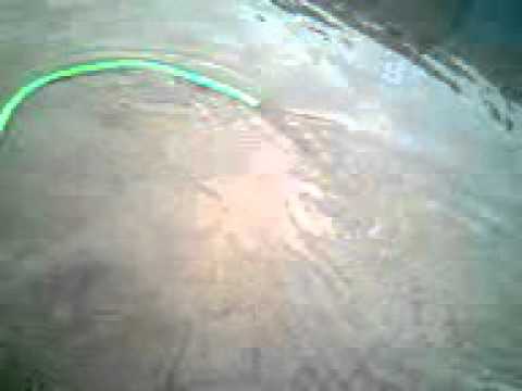 Je akh teri larh gee