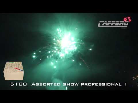 5100 Assorted show professional 1