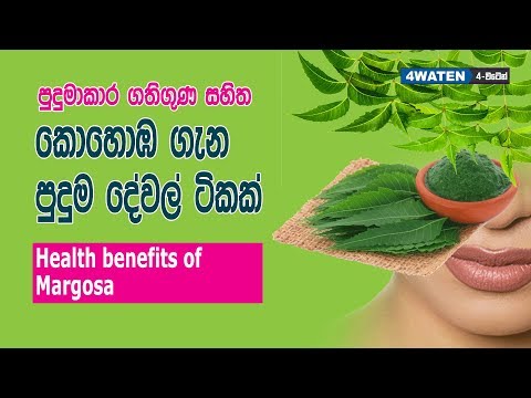 download lagu mp3 mp4 Kohomba, download lagu Kohomba gratis, unduh video klip Download Kohomba Mp3 dan Mp4 Viral Gratis